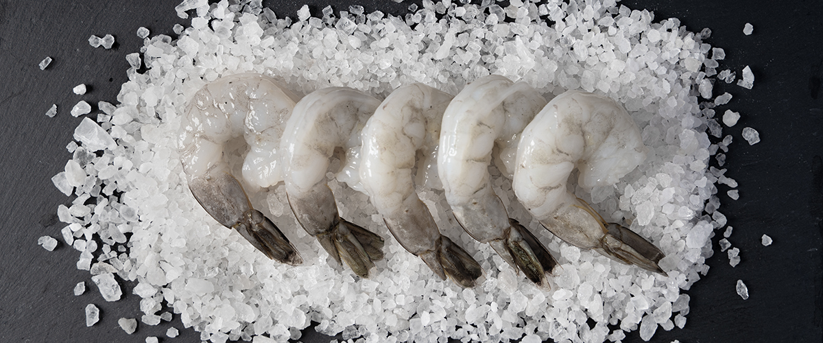 Basa Pacific Brand Well trimmed fillets IQF 1/15lb2