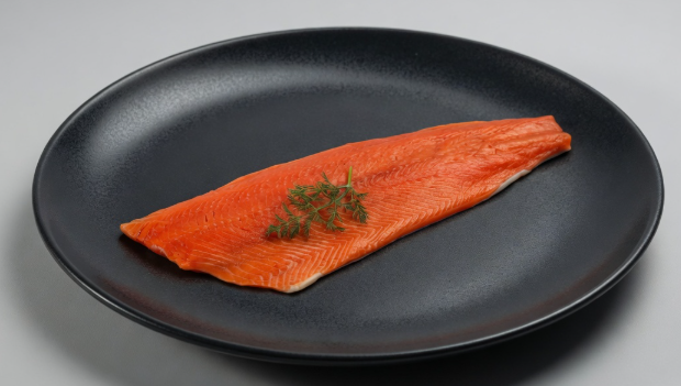 Coho Salmon